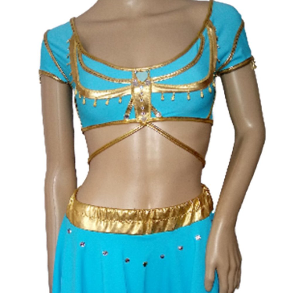 Aladdin Jasmine costume made to order Princess Jas
